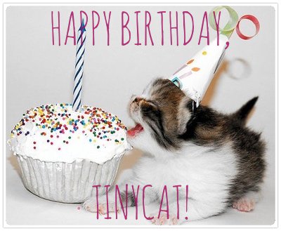 TinyCat_lib's tweet photo. Happy 3rd Birthday to @TinyCat_lib! We're celebrating now through the month of May, read the @LibraryThing blog for full details and come join the fun! https://t.co/3ONHN9BjjU #smalllibraries #libraries https://t.co/i0XRc5Aa4h