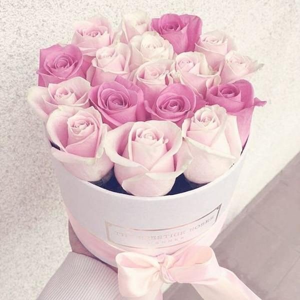 leehyemin_0503's tweet photo. Dear @ASquien ,

I have a little wish for you and that is may all your dreams and desires come true. Happy Birthday, friend 🎉🎊🎁🎂

#HappyUIEday https://t.co/f7qVTYYC8q