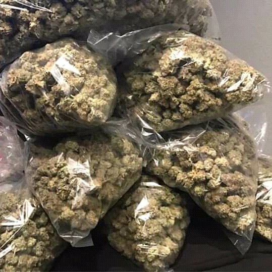 cokstony's tweet photo. #WeedLover 
WhatsApp: +1903 660 7851 https://t.co/bC8y89DIVH