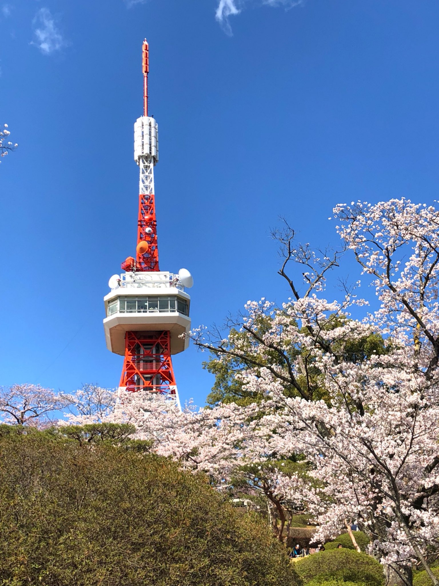 一葵さやか 平成最後に 宇都宮市にある八幡山公園の桜を見てきました 桜の名所のこの公園 じつは地下に旧陸軍宇都宮師管区の指令部壕があるらしいです 今は非公開 令和も平和な時代でありますように T Co Hs6o6vkdhf Twitter 一葵さやか 平成最後に 宇都宮市にある八幡山公園の桜を見てきました 桜の名所のこの公園 じつは地下に旧陸軍宇都宮師管区の指令部壕があるらしいです 今は非公開 令和も平和な時代でありますように T Co Hs6o6vkdhf Twitter