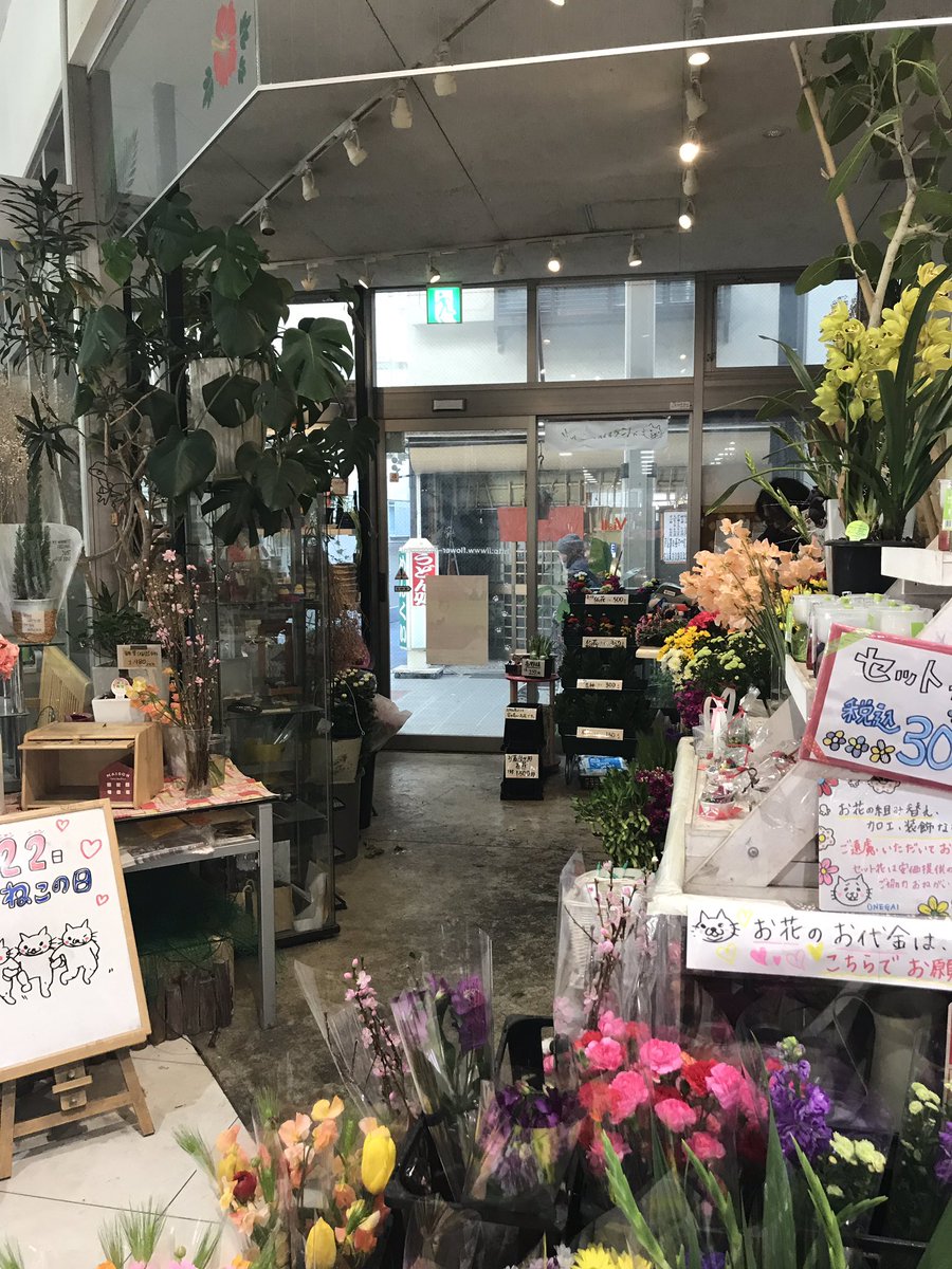 腰骨 Kosibone Twitter 腰骨 Kosibone Twitter