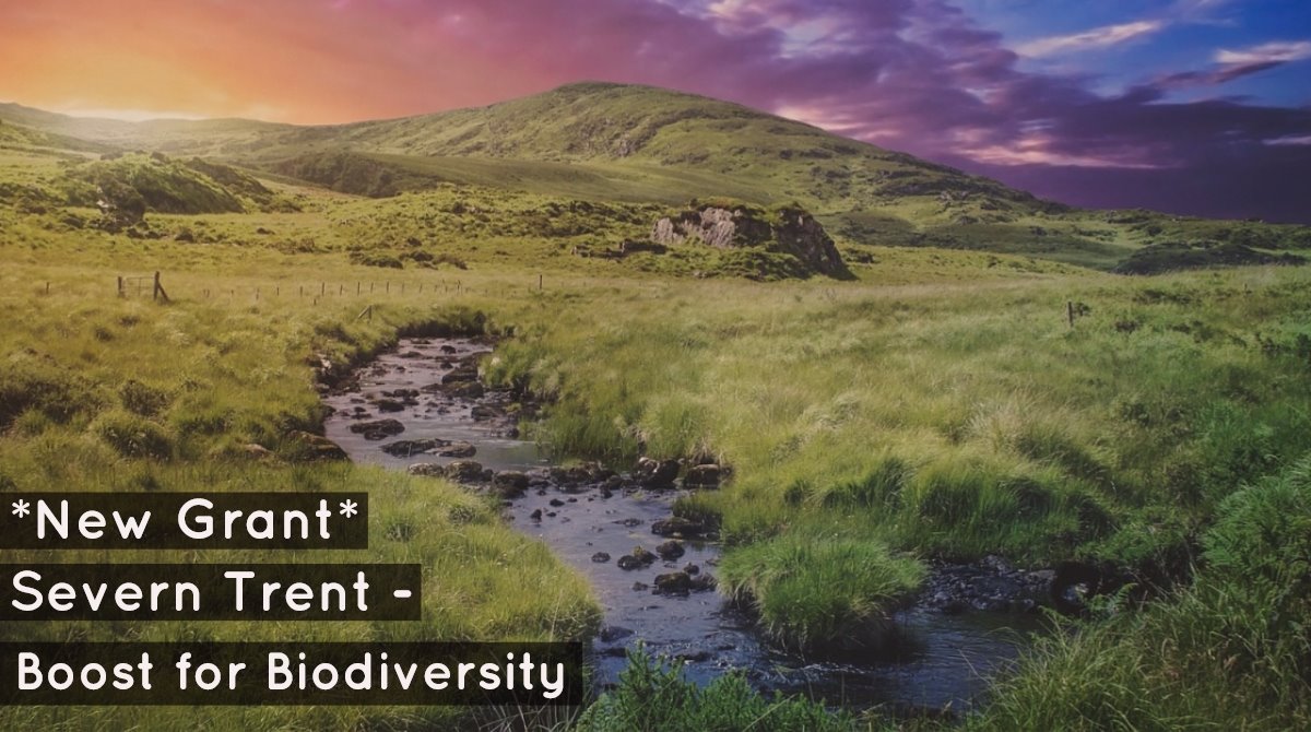 MouleandCo's tweet photo. 💧*New* Severn Trent launch Boost for Biodiversity. Aimed to improve habitats, wildlife and the environment. £100,000 of funding will be available and awarded based upon a scoring system. Closing date: 31st May. Further info: https://t.co/iQUHKjqFEU 
 #farming #Worcestershirehour https://t.co/5DlnTdQFdY