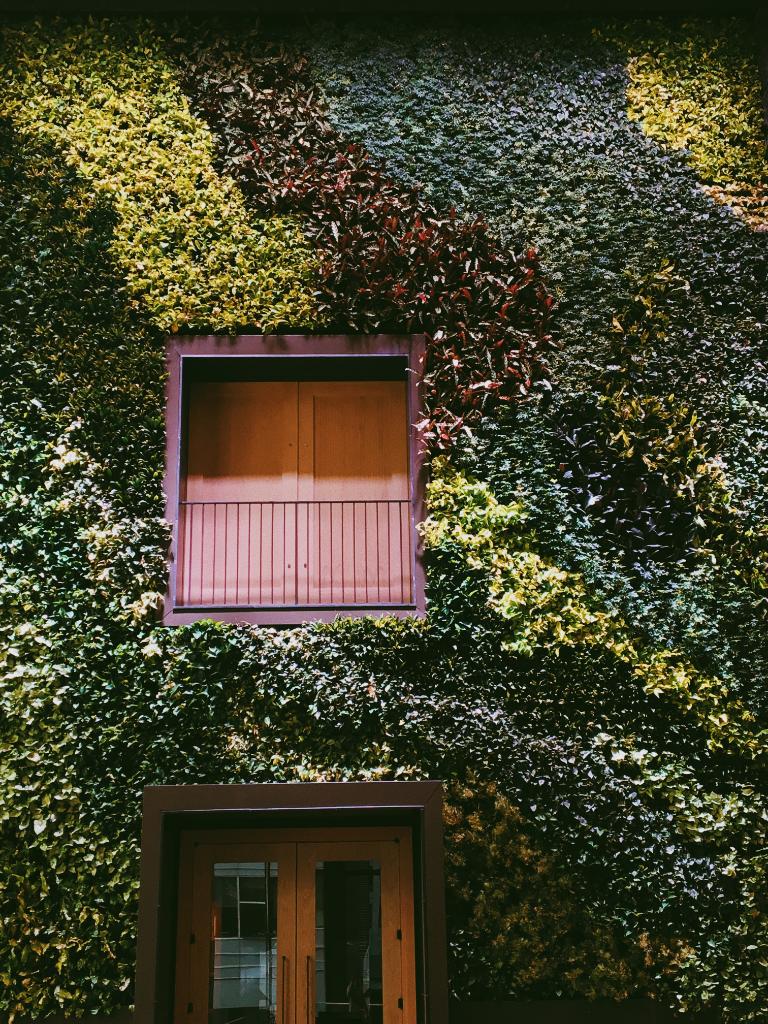 WeWork's tweet photo. Today's #traveltuesday inspiration is brought to you by the living wall at WeWork 520 9th Ave. 🌿 #weworkseattle https://t.co/YsvdiuukWU