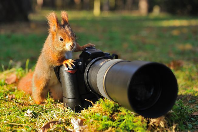2RiversFestival's tweet photo. We want to see your photos from the 2019 2Rivers Festival!

Tag @2RiversFestival with the hashtag #2RiversPhoto on Facebook and Twitter. Your photo could end up on next year's Event Guide cover! Ask permission to photograph someone, and remain respectful of wildlife and habitat. https://t.co/Amj3KKMPxp