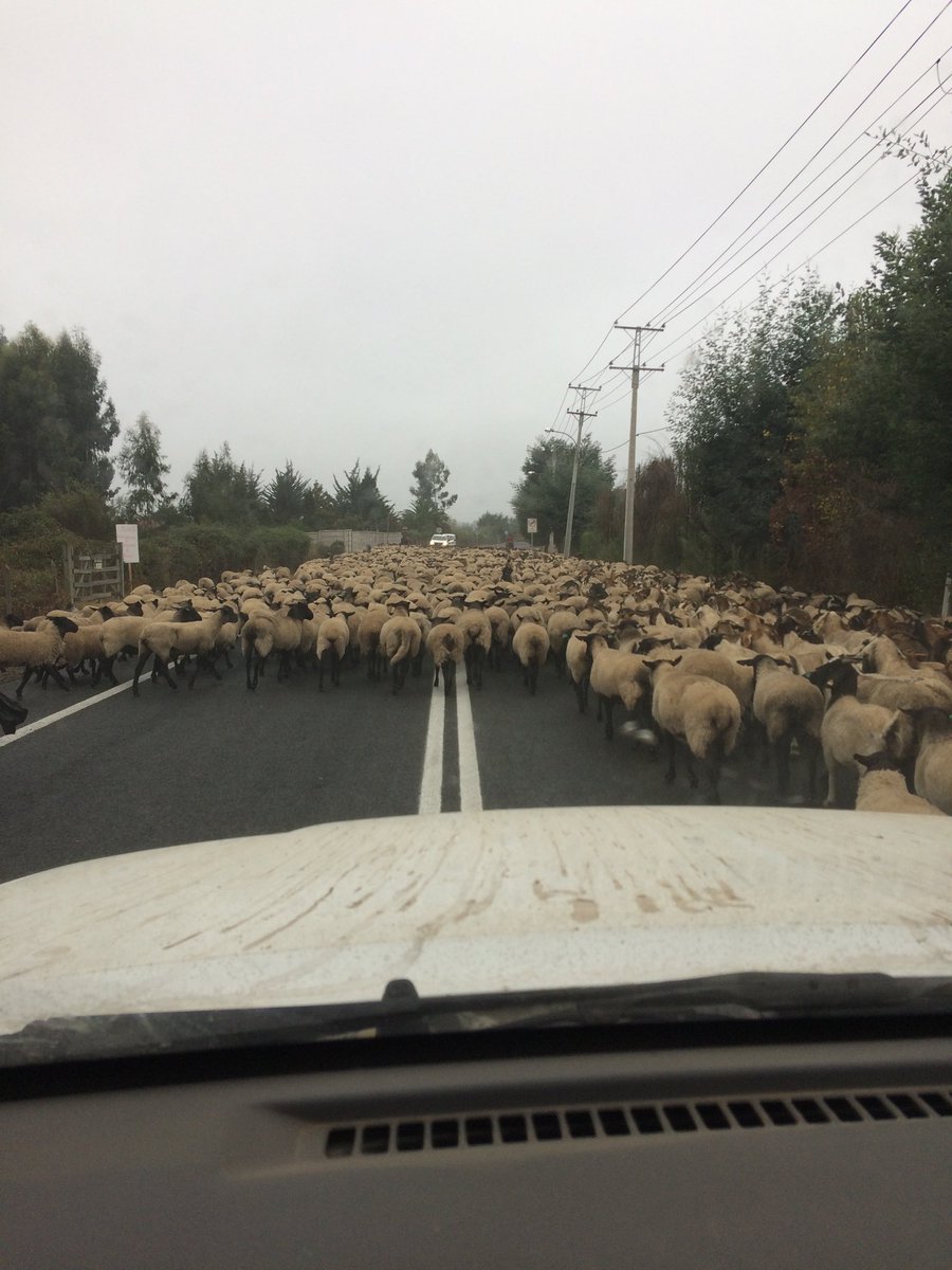 Empezamos con los tacos. 🤣
