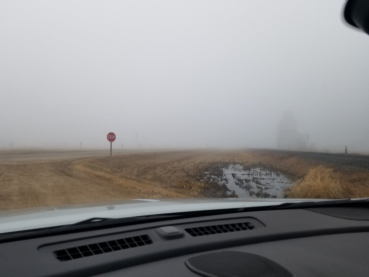 RachelWheat1's tweet photo. Foggy south of Regina this morning. Turn your headlights on folks!! #yqrtraffic #springfog #humidmuch https://t.co/IqHPXQF5GU