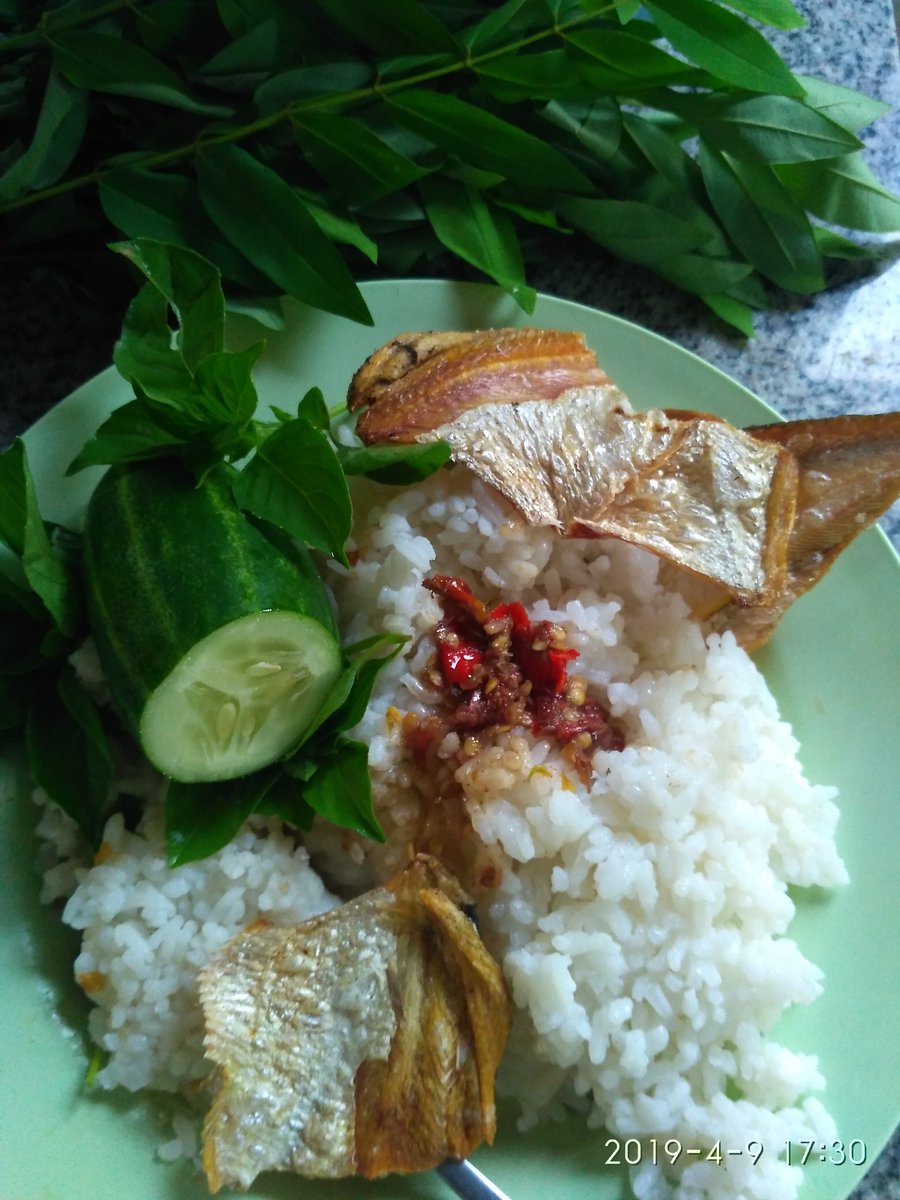 EssentialMas's tweet photo. Klo makanannya sehat organ mengikuti. https://t.co/gnSSX5ju6N