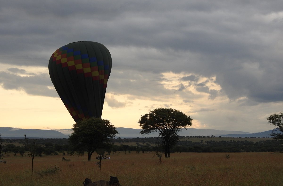Make your dreams come true with Adventures Aloft Balloon Safaris...#BookWithUsNow #Karibu

#hotairballoonsafariserengeti#adventuresaloft#serengeti#tarangire#migration#greatmigrationinserengeti#marariver#masaimara#hotairballoon#champagneonthesky#tarangireballooncamp