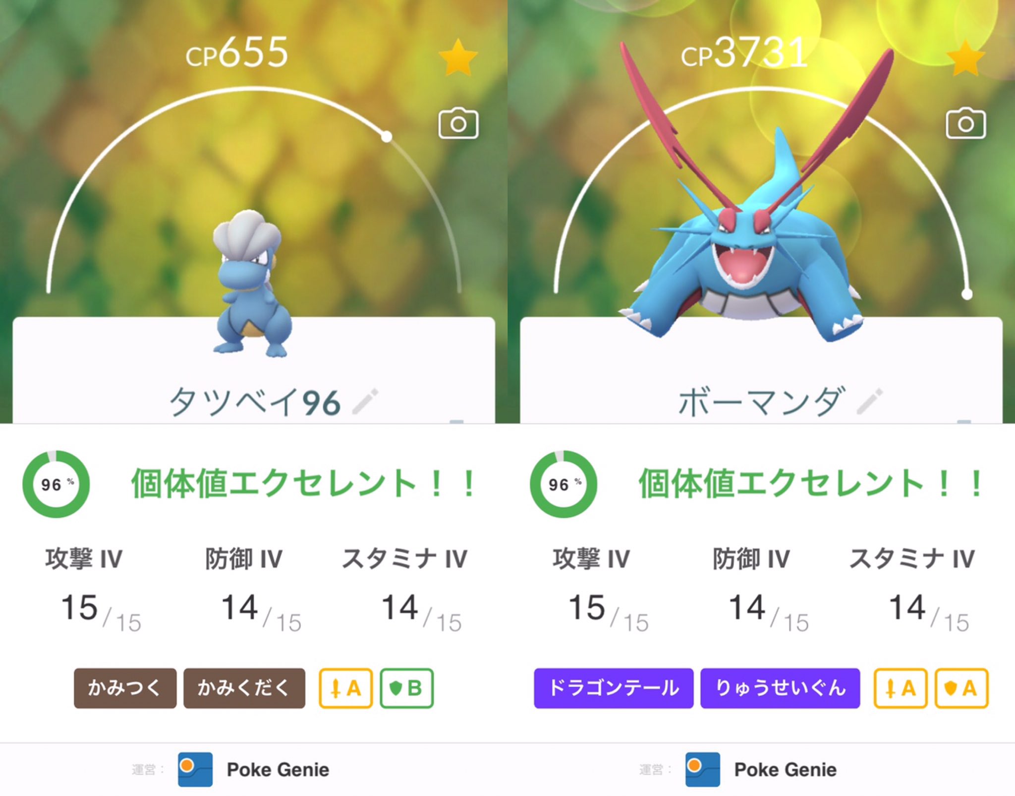 まぁくん ポケモンgo 今朝 ラティオス対策でボーマンダを入れようと思ったが８６ しか居なくて 流れで普通に高個体値のタツベイを進化させた コミュニティデイの為に進化させずに残してたのに間近に控えて やらかした Pokemongo ポケモンgo