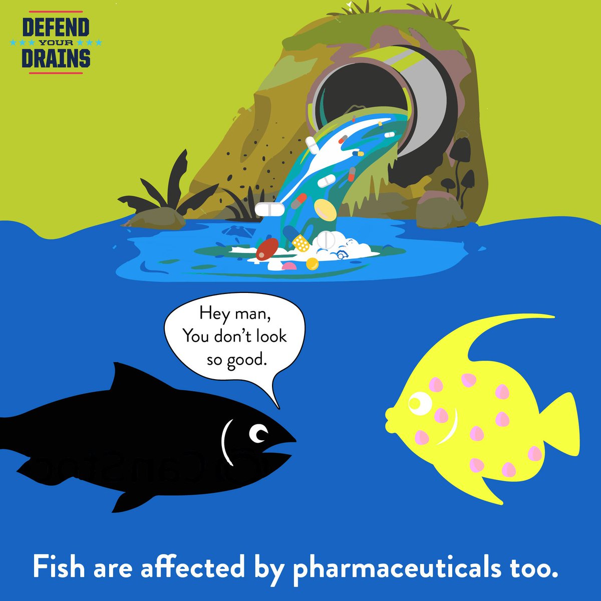 DefendDrainsNTX's tweet photo. When we flush our prescription medications down the drains, they end up in our waterways. This ends up affecting our local fish in many ways. Learn where you can take your meds at our website at Learn more at https://t.co/YkejOQsDiJ! #MedTakeBack #DefendYourDrains https://t.co/mi2sCHzAh3