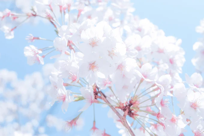 もう最後かな 