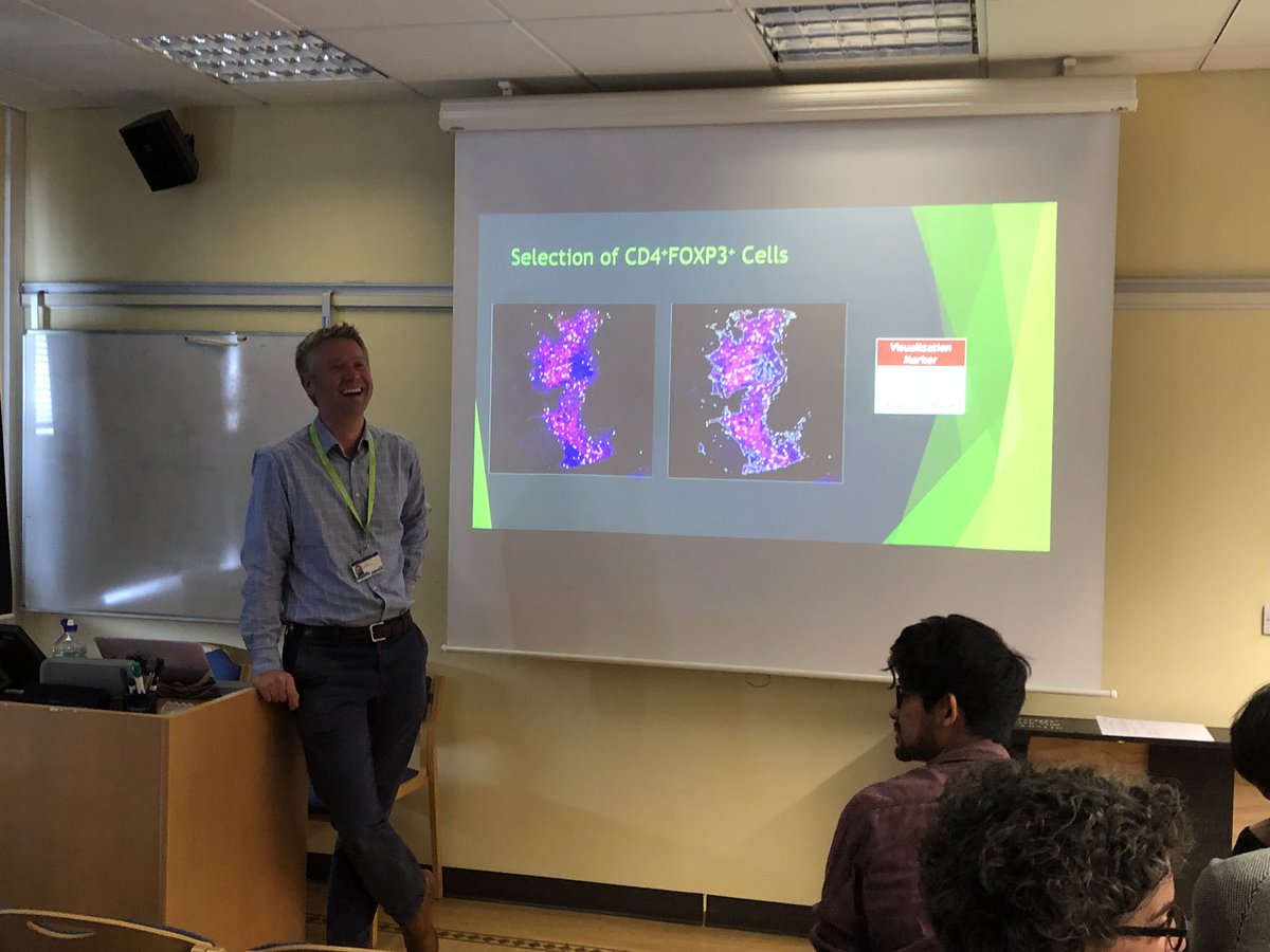 Niccolo Mariani tweet media