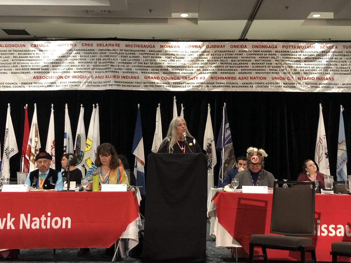 ChiefsofOntario's tweet photo. Regional Chief @ORCRoseAnne Archibald and Chief Hill of #SixNations provide opening remarks at the #SpringSCA2019.
This event is currently being live-streamed on the @ChiefsofOntario #YouTubeChannel here: https://t.co/ezPMqy6a8t https://t.co/MY9v89oM55