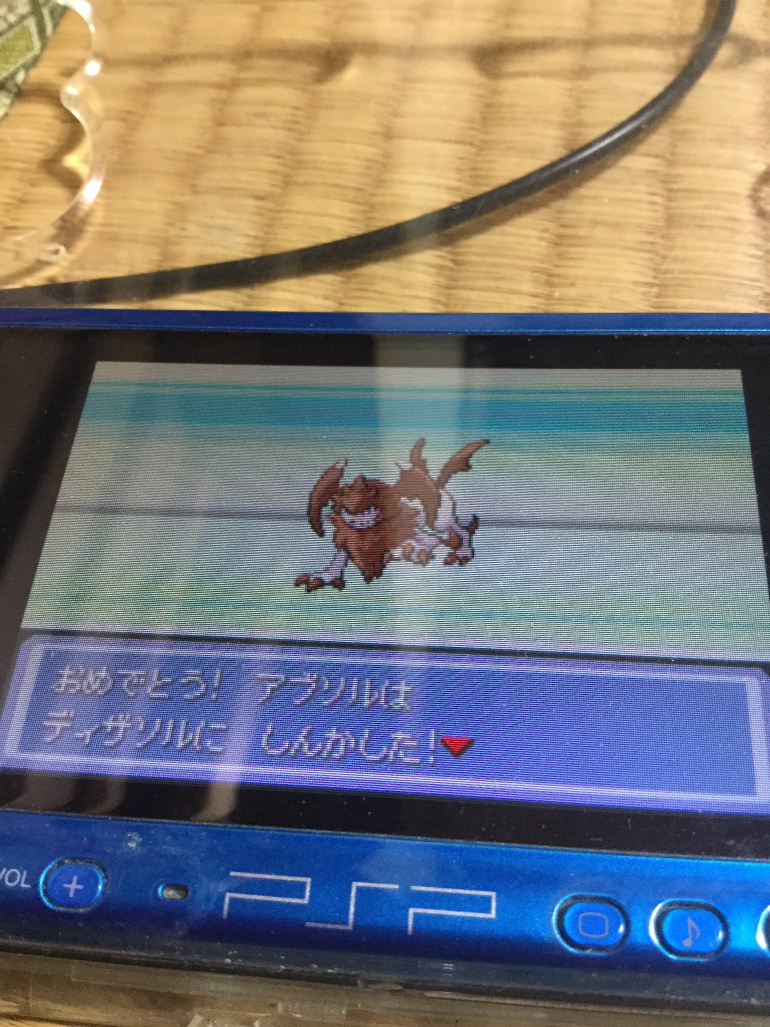 マッスル ディザソル色違い ポケモンプロキオン