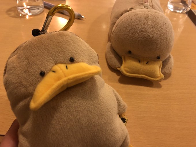 サンレモンさん がハッシュタグ カモノハシさん をつけたツイート一覧 1 Whotwi グラフィカルtwitter分析