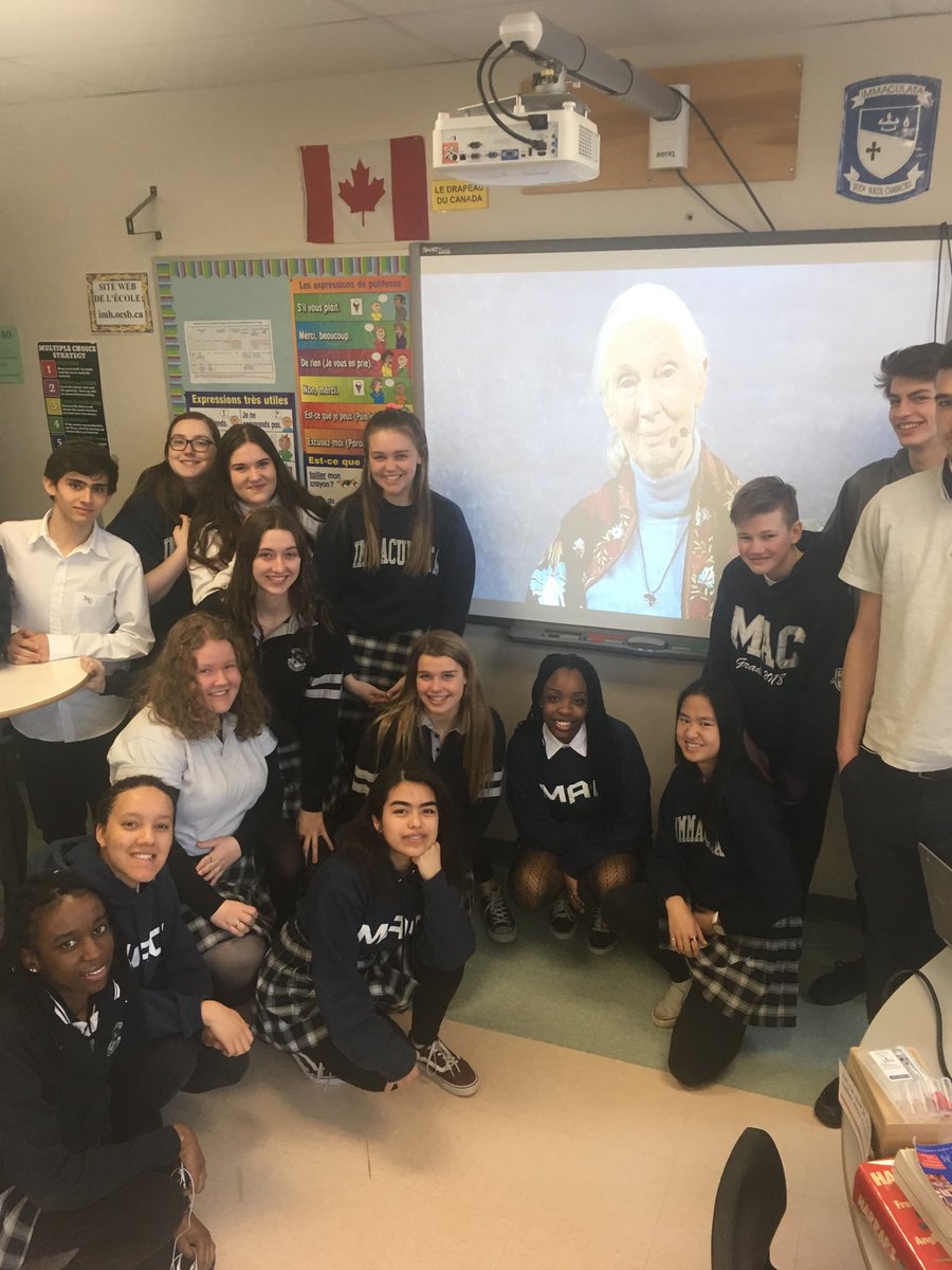 MHoweOCSB's tweet image. This morning we used ⁦@SkypeClassroom⁩ to watch and chat live with Jane Goodall! Talk about an awesome #learningpartnership! ⁦@ImmaculataOCSB⁩