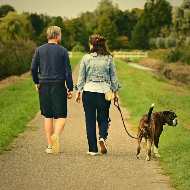 New UK #nofaultdivorce laws liberate couples from hostile #familyconflicts, and give them the option of a positive outcome from a broken down marriage. Our blog explains how this law will revolutionise #divorce. bit.ly/2P0tcpN