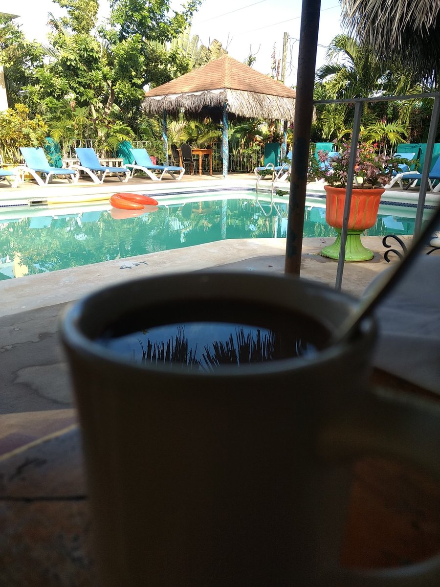 dp_carib's tweet photo. Good Morning ☕👨🏽‍🚀

@SeastarN is the first full service #crypto friendly hotel in #Jamaica🇯🇲

*Ranked #1 by TripAdvisor
*5⭐ Steak &amp; Lobster
*Weekly Texas Hold'em #Poker tourneys— a must for travelers with the coin 😎

#CryptoAccepted
$dgb $GO $btc $eth $ltc $STEEM

#Share2Steem https://t.co/MEcF4lXDjP