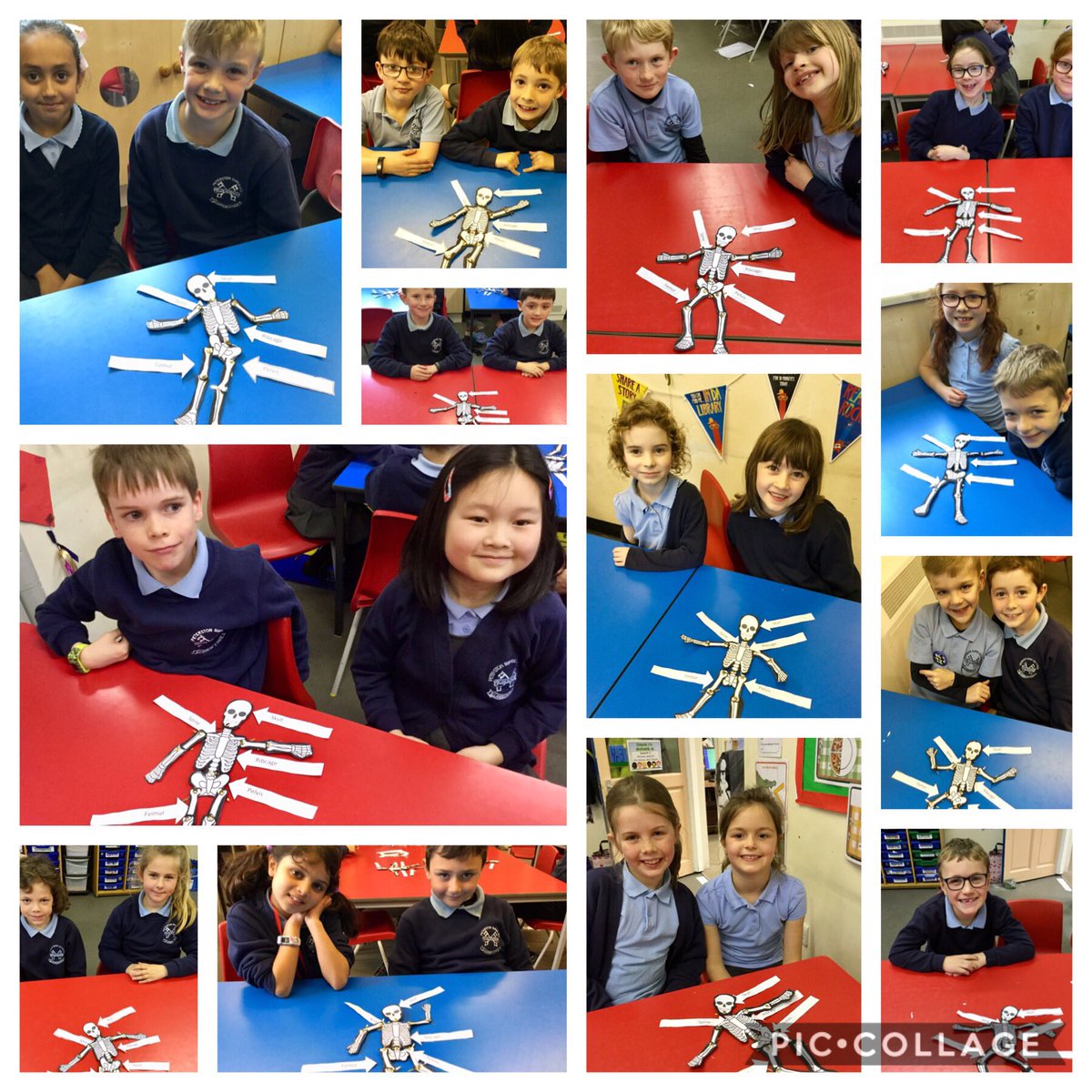 Peterstonps's tweet image. Year 3 worked in pairs to make a skeleton puppet today #fitforsuccess #skeletons #healthyliving #healthyschools