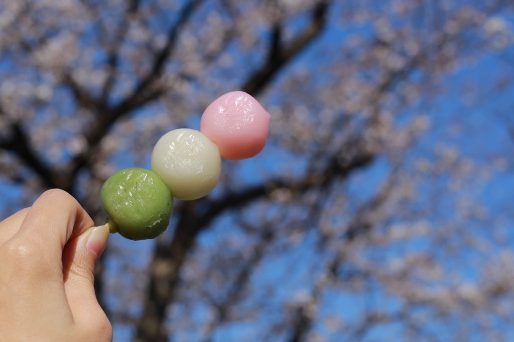 ___krkl_1's tweet photo. 写真撮れなさすぎて悲しくなる
桜撮りに行ったのに
三色団子がいちばん綺麗に撮れた https://t.co/yFfLAjOZkF