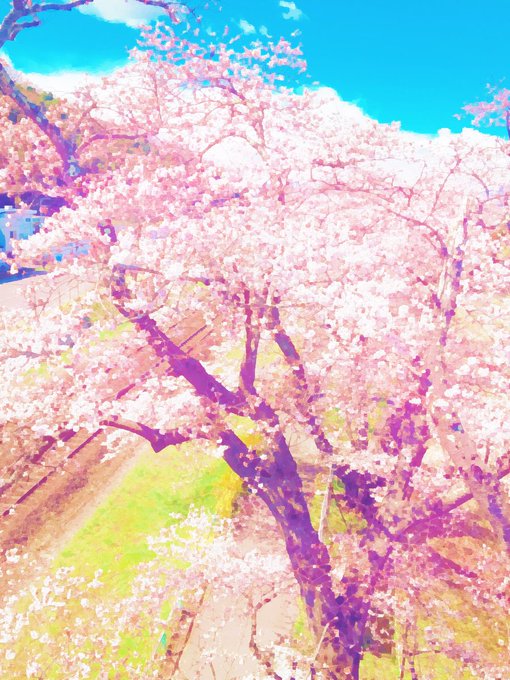 綺麗な桜のtwitterイラスト検索結果 古い順 綺麗な桜のtwitterイラスト検索結果 古い順