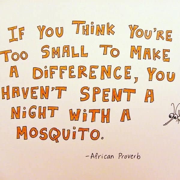 Xavier Murphy tweet media