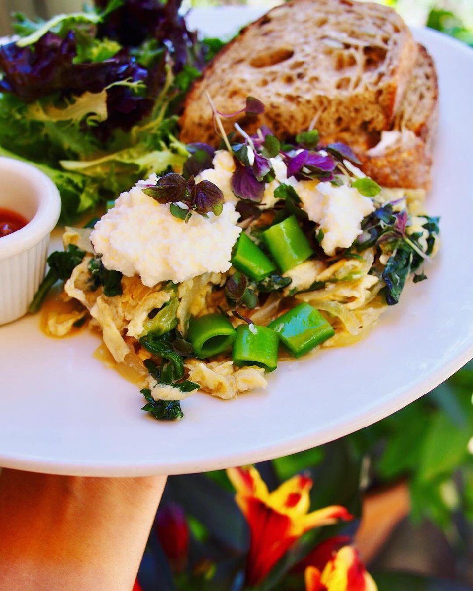 OriginalNFV's tweet photo. Nothing quite like spring in the valley of the moon 🌼🌼 loving the art of crafting the seasons foodie-style #springscramble with scrambled eggs, fava beans, sugar snaps, pea tendrils and a dollop of @BellwetherFarms ricotta #eatsonoma RT: @SunflowerCaffe #sunflowercaffe https://t.co/g3fGT4Ge4N
