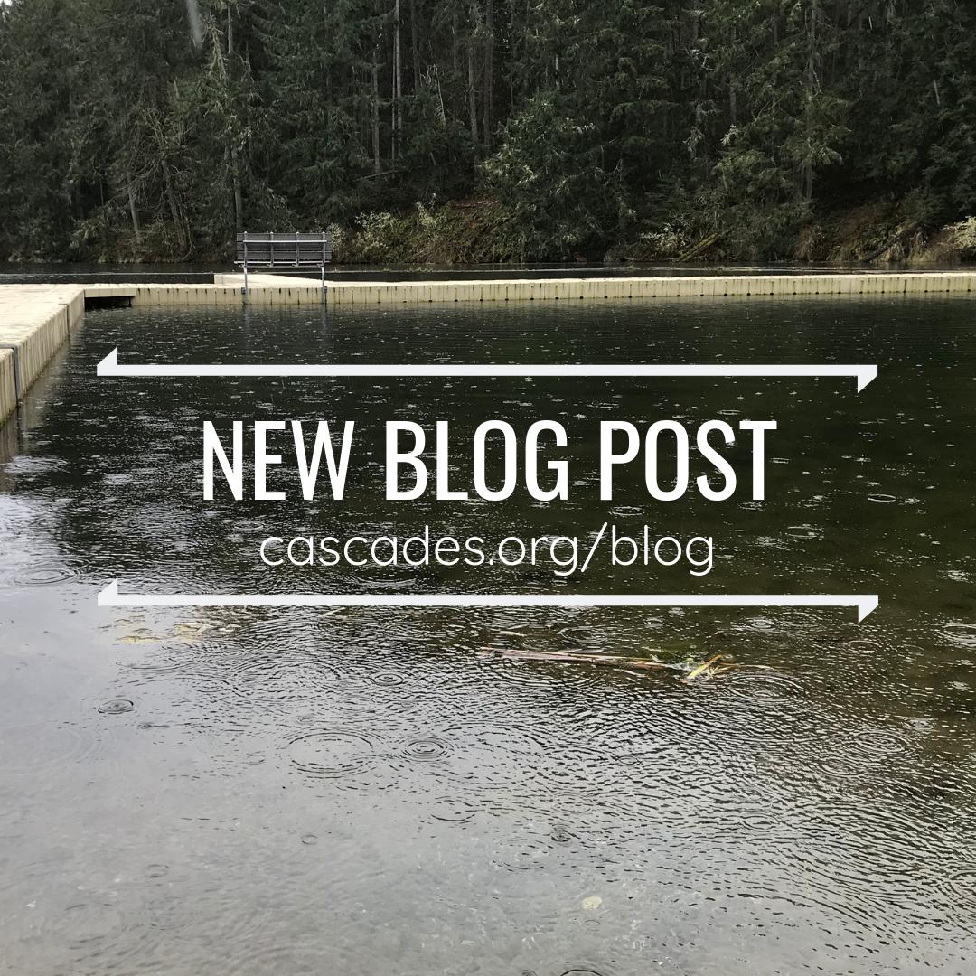 cascadescamp's tweet photo. As the April showers settle in, we are in the midst of a ton of summer preparation! As we are plugging away on projects, it's important that we are taking time out of our day to connect with Christ. Read our new blog post about spending time with Jesus at https://t.co/CDNZquJSEC https://t.co/a7lN2J3fC4