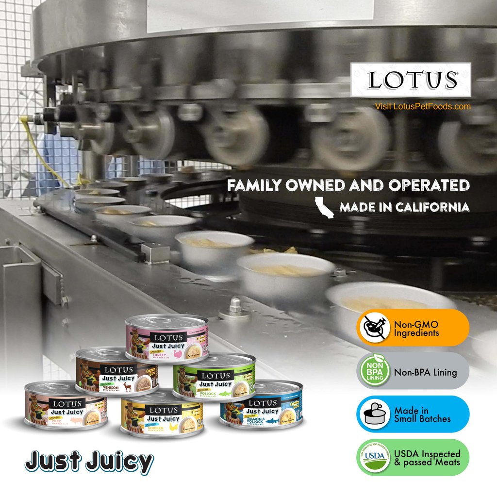 CatConWorldwide's tweet photo. @lotuspetfoods canned food is made in their family owned and operated microcannery in Torrance, CA. Cats love Lotus’ delicious and nutritious recipes! Find us at CatCon! 

#LotusPetFoods #OvenBaked #Microcannery #Cats #Pets #Kitty #Meow #California #CatLife #CatCon2019 #CatCon https://t.co/ctWW0AR8wQ