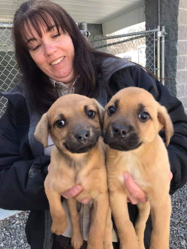 augustadogadopt's tweet photo. Honored to receive a $4,000 lifesaving investment from @petcofoundation to support our work to find loving homes for pets. #PetcoFamily https://t.co/28mavnGcZf