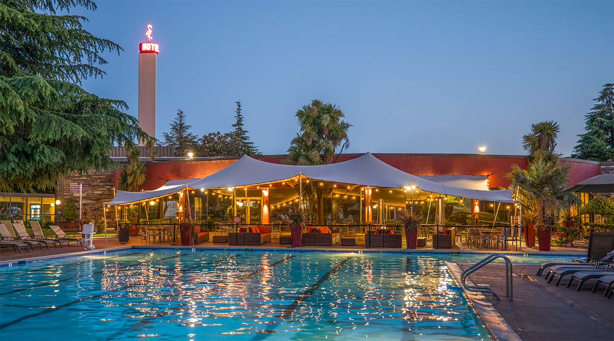 flamingo hotel santa rosa flamingo hotel santa rosa