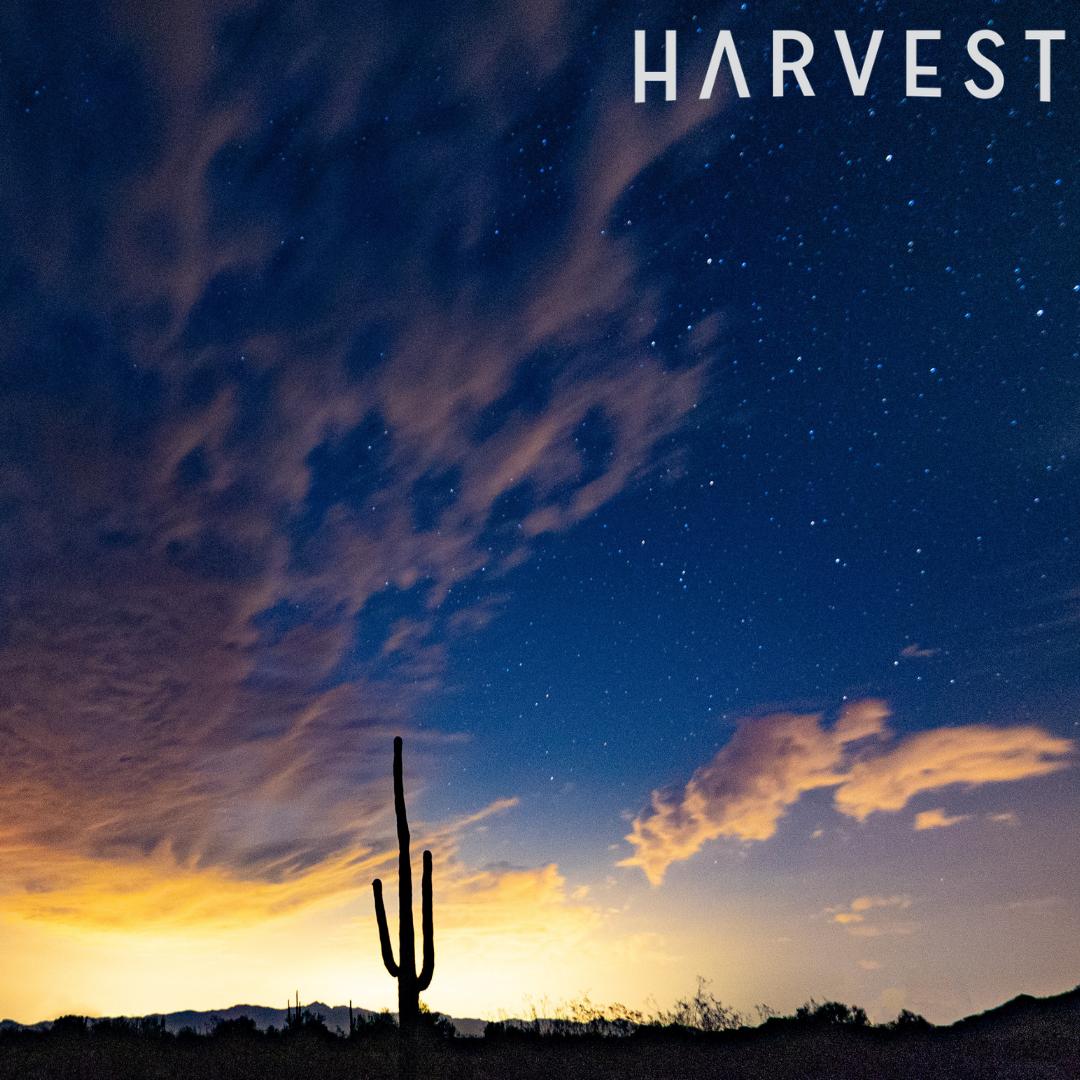 The more we learn about the #positive impact we have on local areas and individuals, the more inspired we are to widen our influence beyond the walls of our stores. Learn more about our ever-growing network of #community outreach and involvement: buff.ly/2FWkvZE #cannabis