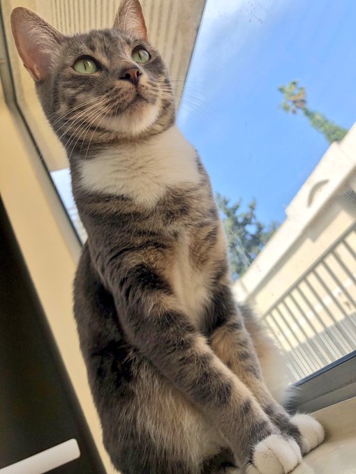 She was modeling for me, look at her toes https://t.co/IlZAhuLiL1