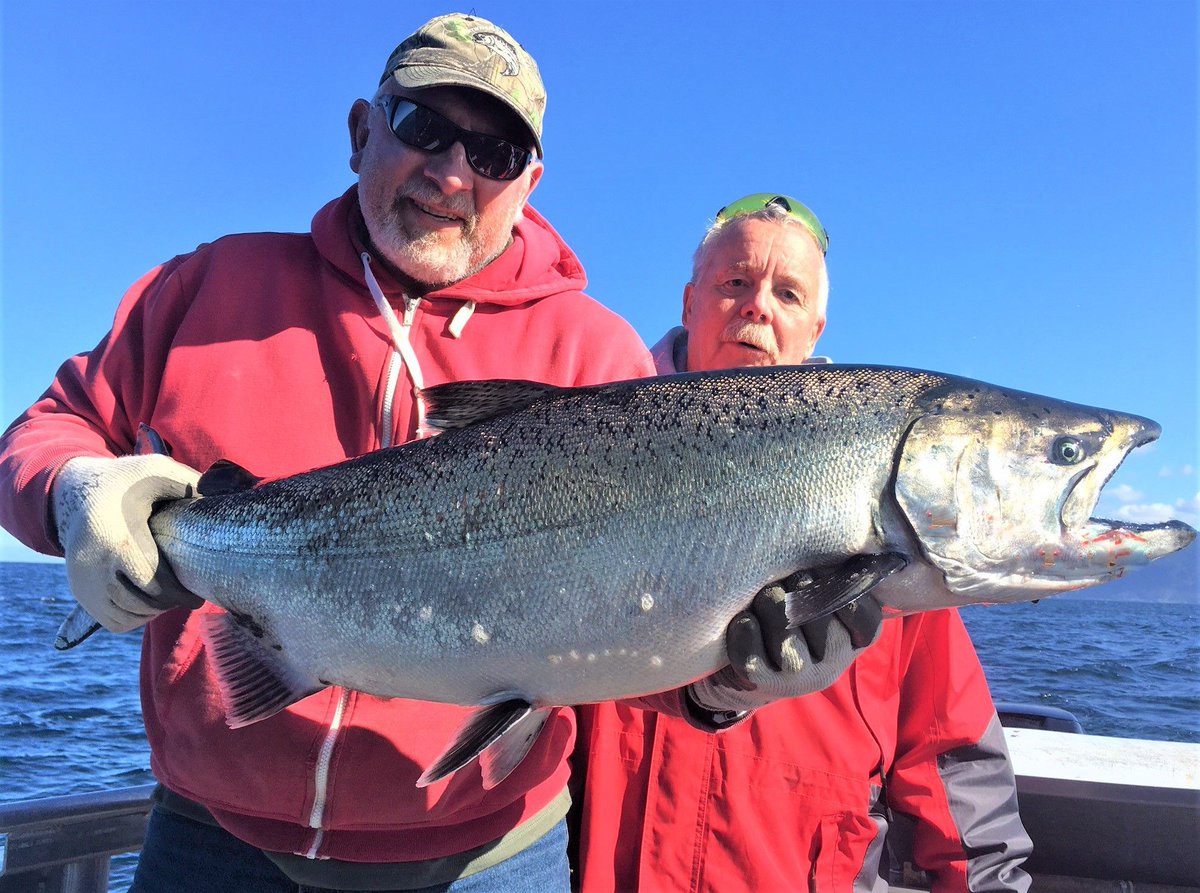 CartwrightSound's tweet photo. “First class fishing with great guides, boats and the fishing was awesome. Would really recommend to anyone who would like to try fishing the west coast.” 

#CartwrightSoundCharters #FishingCharter #fishingchartertestimonials #CatchOfTheDay #HappyFishing https://t.co/byAHnS1Ph2
