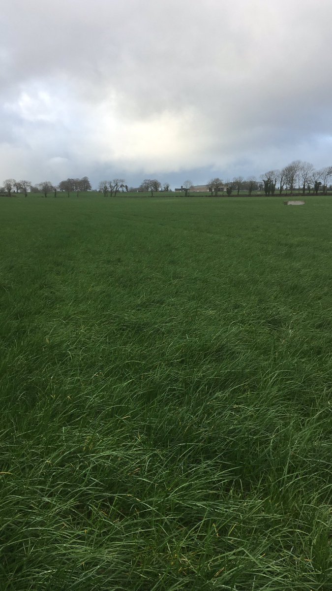 **were hiring**
An opportunity has arisen here with us in Portumna for an assistant farm manager on 390 cow spring calving herd excellent salary available along with a 2 bedroom apartment on the farm if required please email your cv to derryhineyfarm@gmail.com rt appreciated