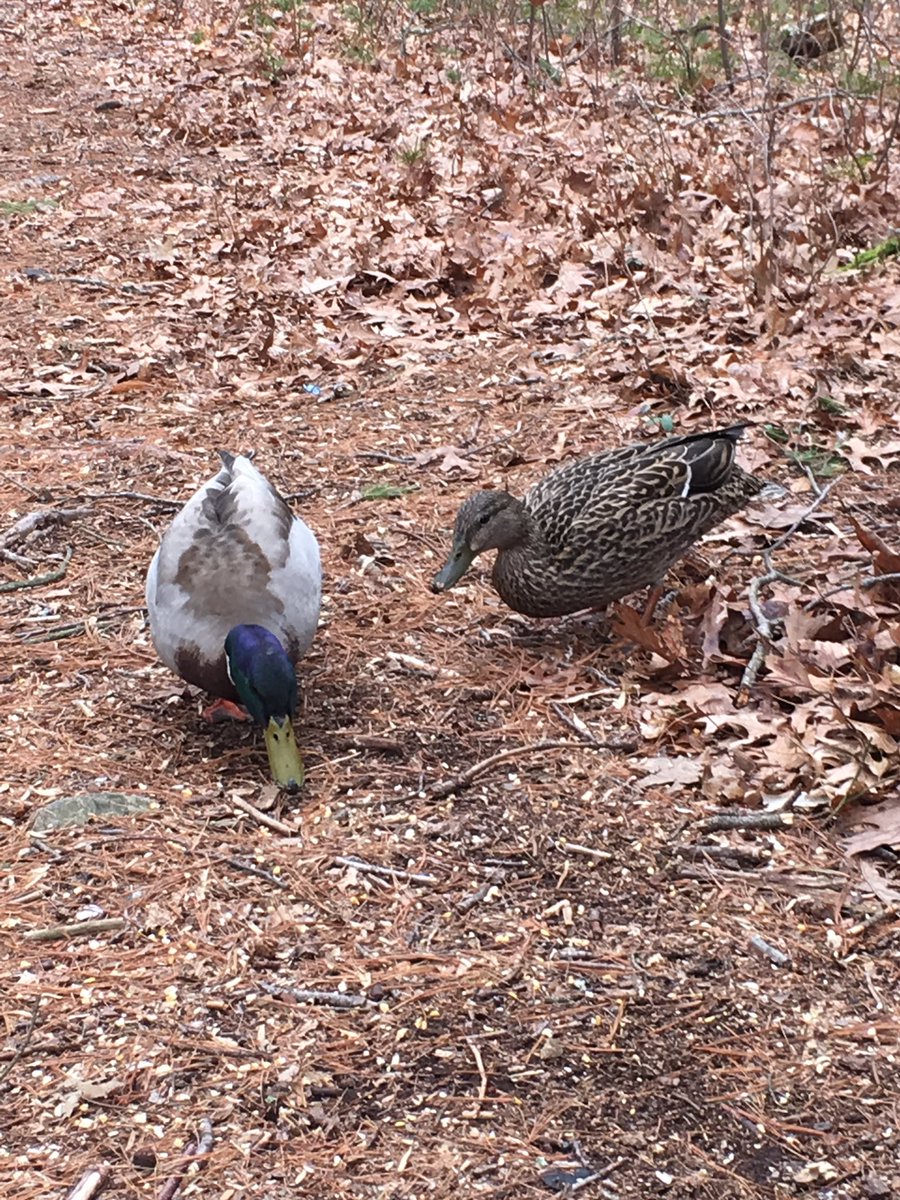 john morrish tweet media