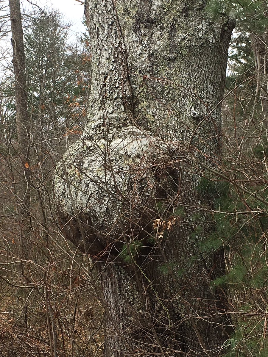 john morrish tweet media