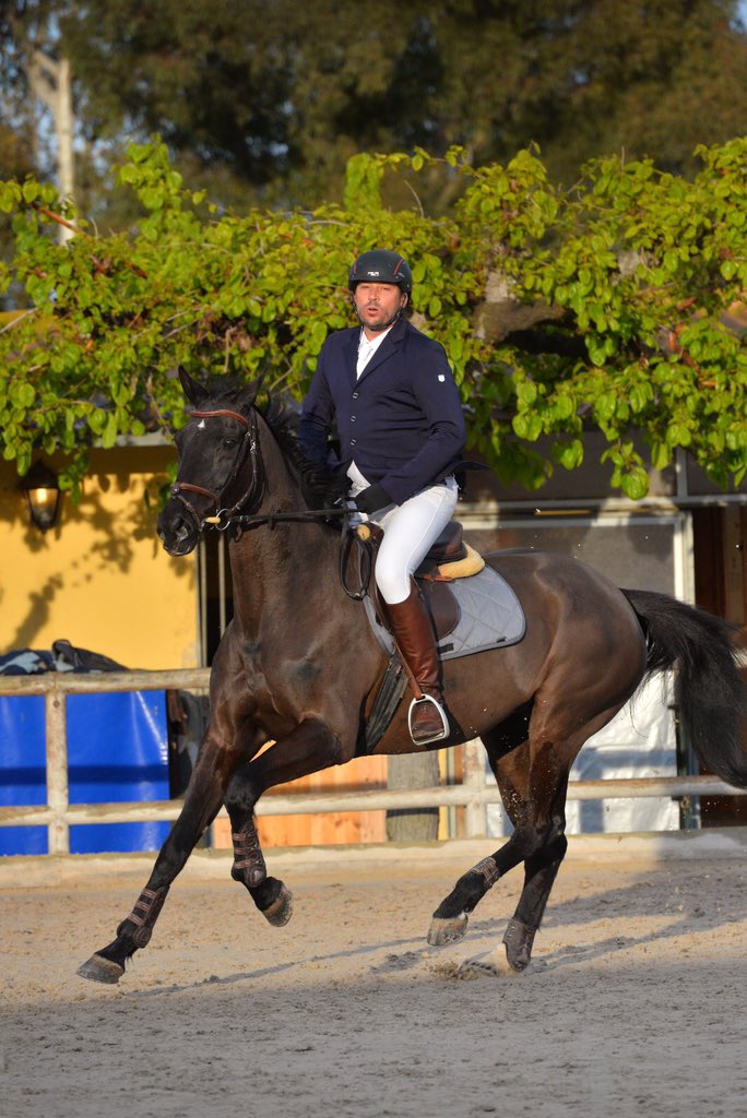 rivasfrancesc's tweet photo. The theme song to Black Beauty was running though my head all day! #openclubbarcelona #showjumping #horses #equestrian https://t.co/1v99yBq0qR