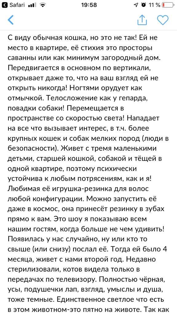 imsftrn's tweet image. Лучшее