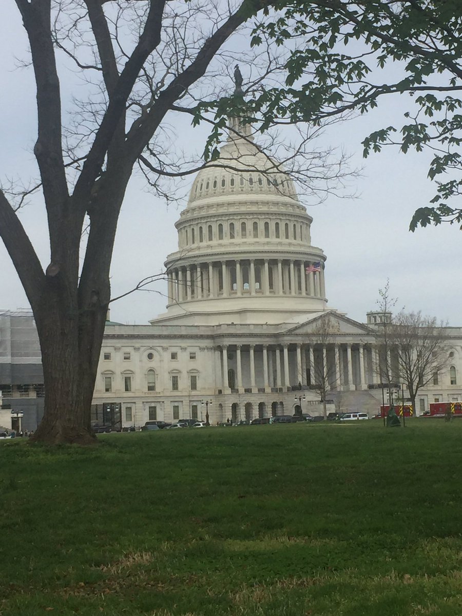 BobDandoy's tweet photo. @PCTELANews @DrPSchmidt @Hail_Luc @ncte Excited to be on the Hill! https://t.co/9RB0d11BVW