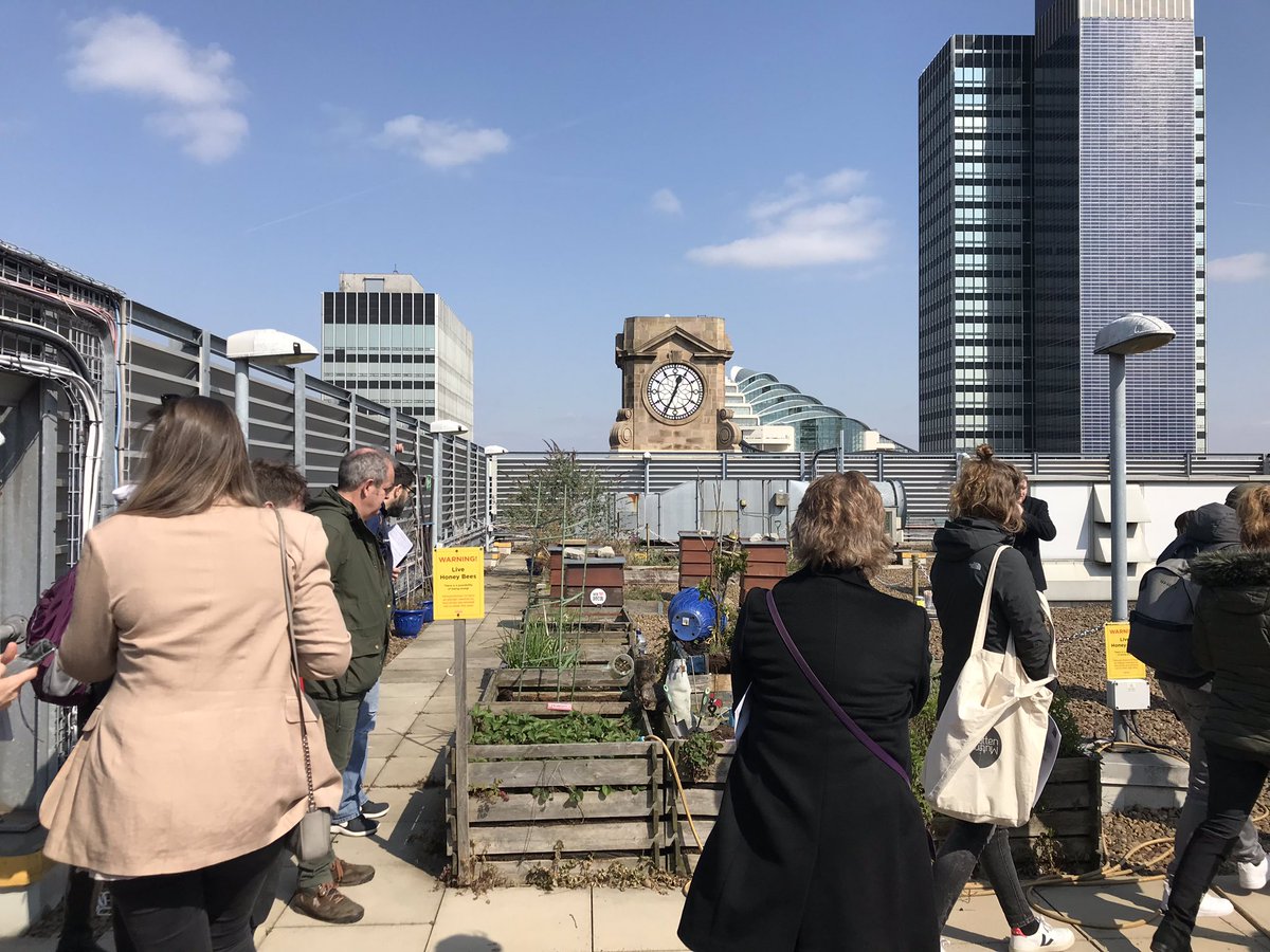 ProfMikeHardman's tweet photo. Enjoyed running the ‘Changing Place in Manchester City Centre’ fieldtrip today for @The_GA’s #GACon19 - highlight included visiting the amazing @The_Printworks rooftop growing project + urban beekeeping scheme #geographyteacher https://t.co/CwUygaGB1u