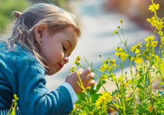 FamilyDaycation's tweet photo. Check out the Leach Botanical Garden’s Honeybee Hike this Wednesday!  This guided walk through the garden feature a story and a craft, and are perfect for preschoolers. So get outside and enjoy the (rainy!) spring weather with your littlest adventurers.  https://t.co/VmWHPe46W5 https://t.co/zvGinkTW1v