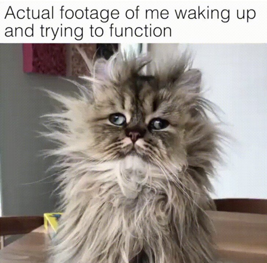 graysonpink's tweet photo. @TamaraBraun I completely understand❣️ #MeInTheMorning #GH https://t.co/LfihPg2Nmo