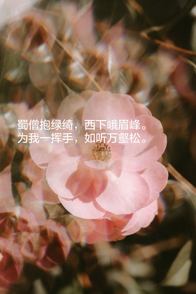 qiaqiati's tweet image. #TuesdayThoughts 
Bai Li 
#poet
#LearningCard
play.google.com/store/apps/det…