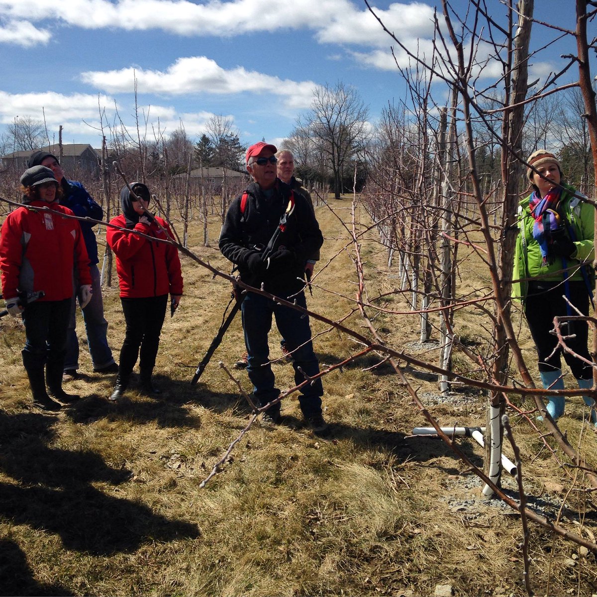 CampbellsOrchar's tweet image. We had a great turn out on Saturday at our annual pruning workshop! If you missed this fun, educational event we are running it again this Saturday at 1:30! Visit our website for details.
.
bit.ly/2WYDv0h
.
#visitthecounty #springpruning #campbellsorchards
