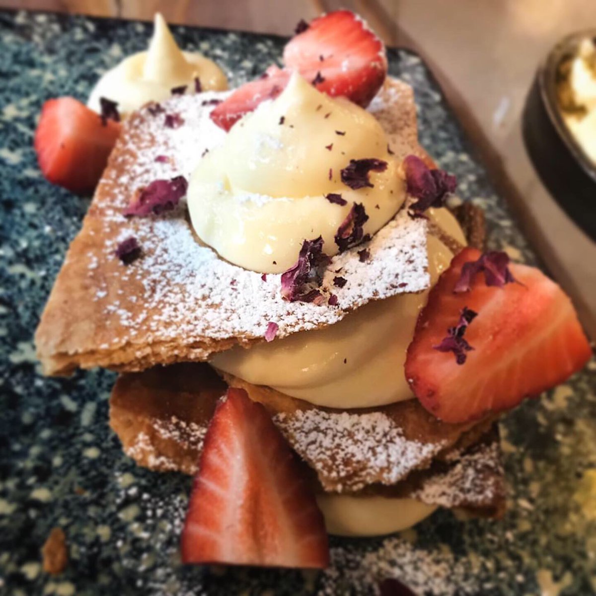 Taylor Lynn Corporation tweet media