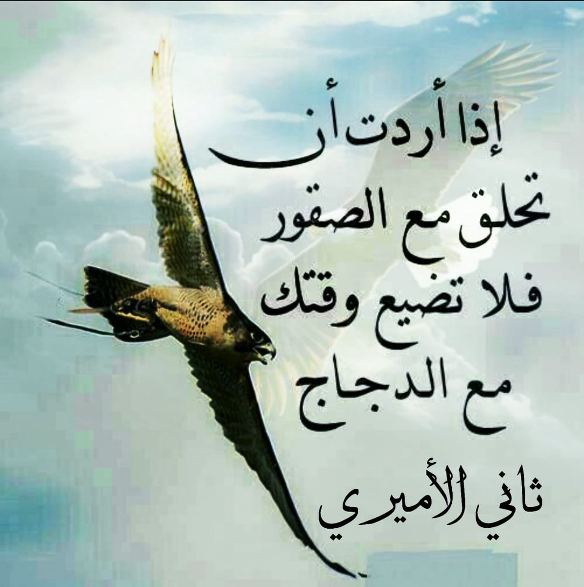 ثاني الأميري‎ (@tiger_6789) on Twitter photo 