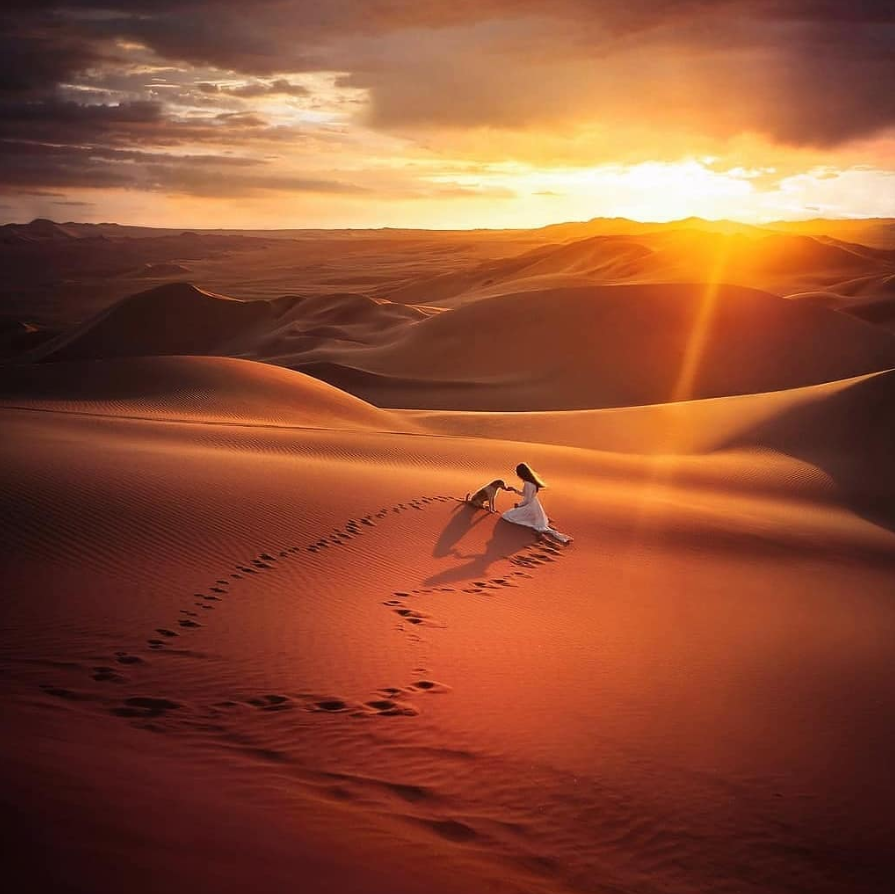 OhMachuPicchu's tweet photo. #Perú Huacachina Sunset y tu ya viviste esta maravillosa experiencia? #Ica

Síguenos: https://t.co/gmKCukLUvy

#MeLLEGA #NoGraciasNoVoy #DimeAlgoQueNoSepa #ChampionsLeague #FelizMartes #BuenMartes https://t.co/q1iXORs46J