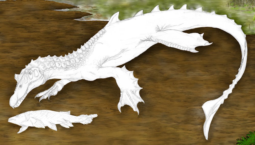 ট ইট র K Ta けーた ラーメンlover 幻想生物博物館6 スピノサウルス の系統が絶滅しないで白亜紀の末頃まで生き残ってたら より水棲に適応したのだろうけど 河にはワニ 海にはモササウルス類で進出できる範囲は結構狭かったんじゃないかと んで 現生の