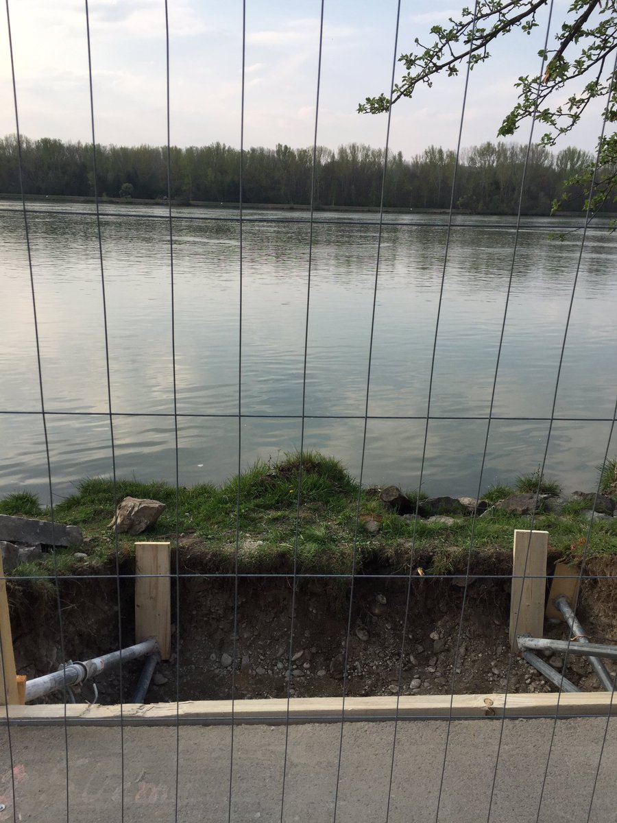 awogfli's tweet photo. Mein Beach kriagt an Boots- und Badesteg Portovelo #Krems #Hollenburg https://t.co/xzirt49lwn